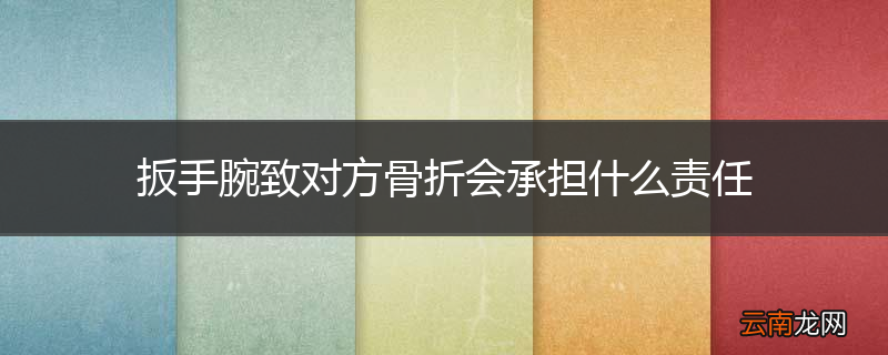 扳手腕致对方骨折会承担什么责任