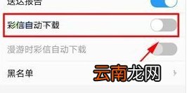 vivo手机彩信设置在哪