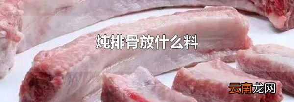 炖排骨放什么料