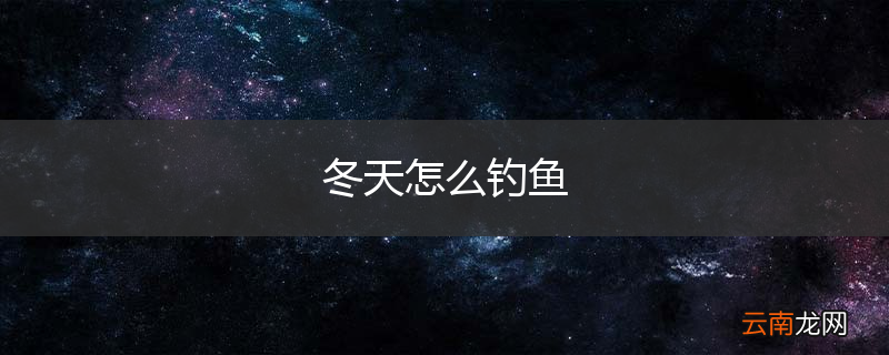 冬天怎么钓鱼