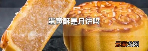 蛋黄酥是月饼吗