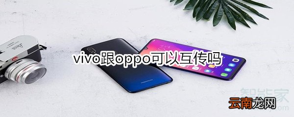 vivo跟oppo可以互传吗