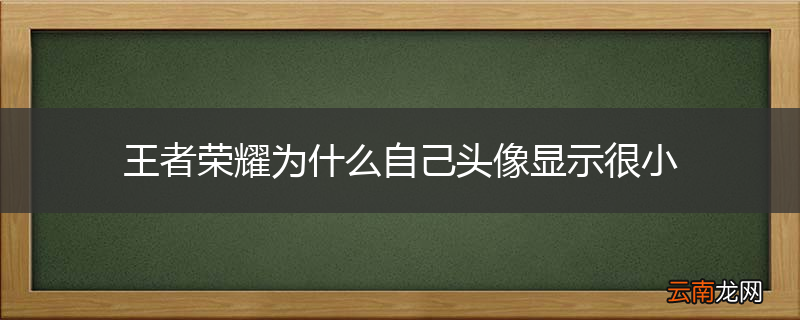 王者荣耀为什么自己头像显示很小