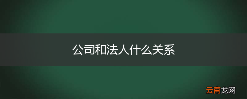 公司和法人什么关系