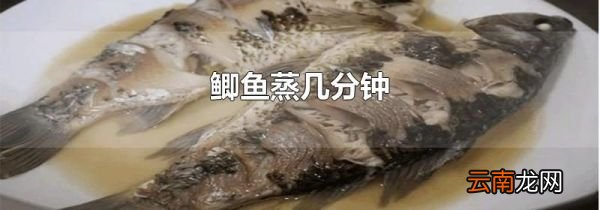 鲫鱼蒸几分钟