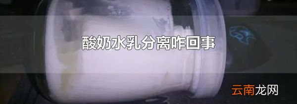 酸奶水乳分离咋回事