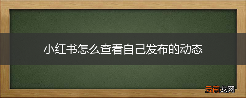 小红书怎么查看自己发布的动态