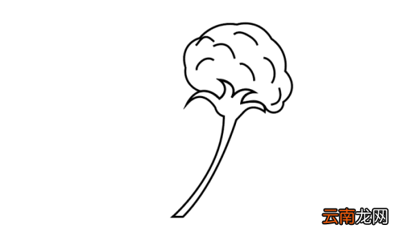 木棉花简笔画 木棉花简笔画怎么画
