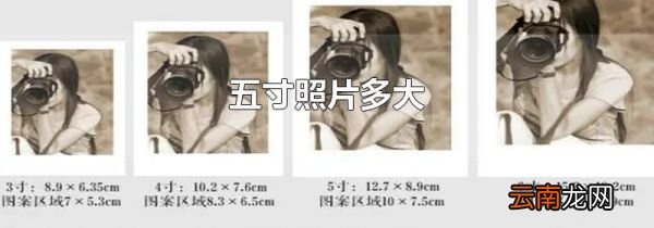 五寸照片多大