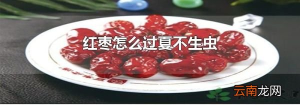 红枣怎么过夏不生虫