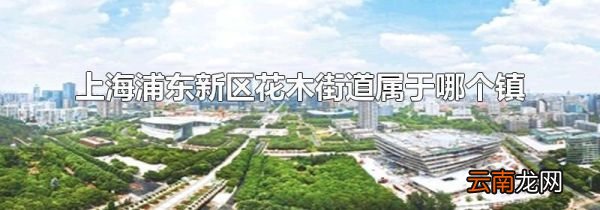 上海浦东新区花木街道属于哪个镇