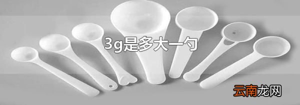 3g是多大一勺