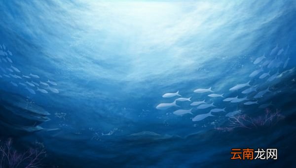 海底世界课文中心句 海底世界中心句