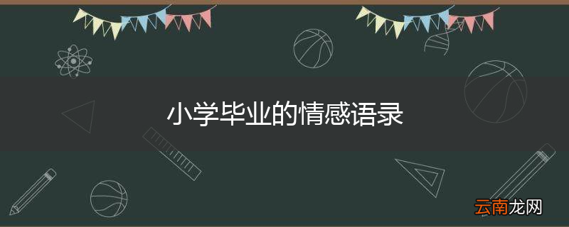 小学毕业的情感语录