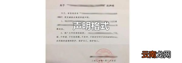 声明格式