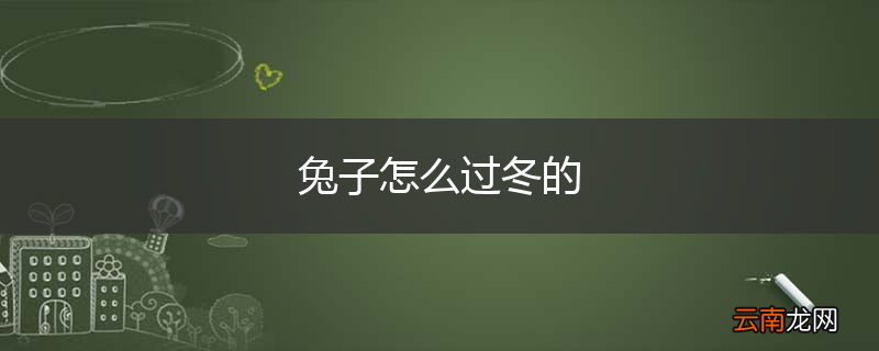 兔子怎么过冬的