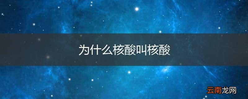 为什么核酸叫核酸