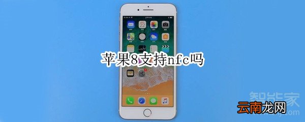 苹果8支持nfc吗