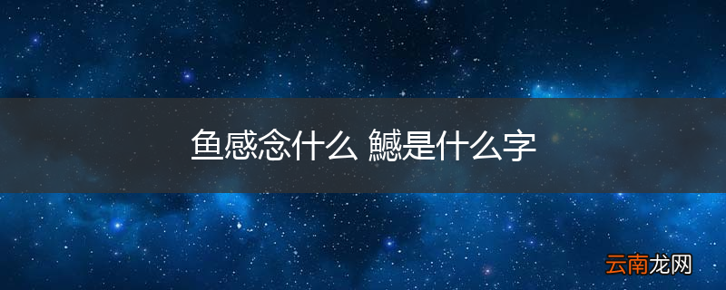 鱼感念什么 鱤是什么字