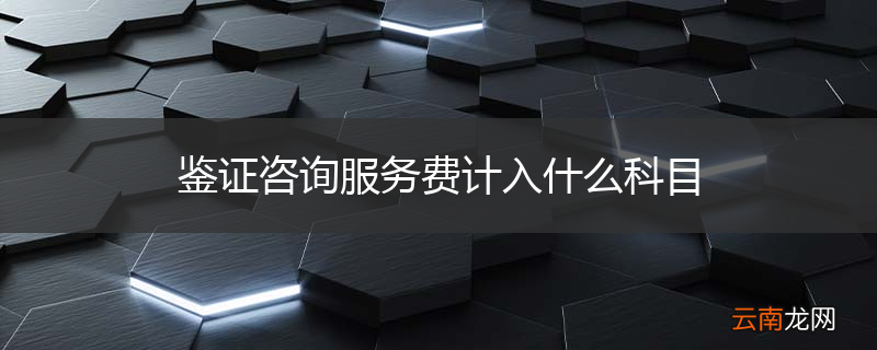 鉴证咨询服务费计入什么科目