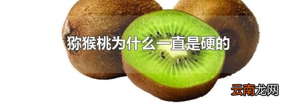 猕猴桃为什么一直是硬的