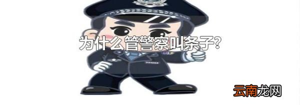 为什么管警察叫条子?