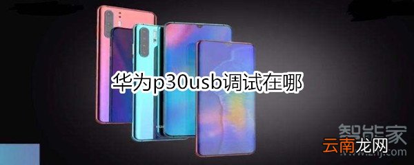 华为p30usb调试在哪
