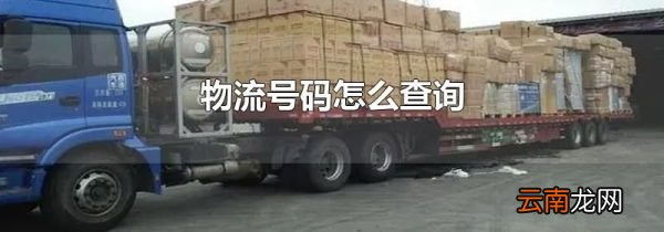 物流号码怎么查询