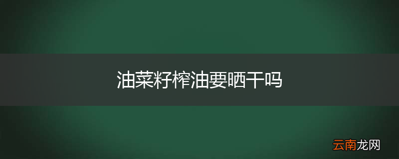 油菜籽榨油要晒干吗