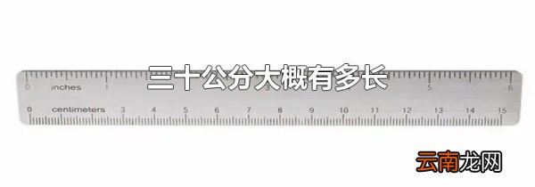 三十公分大概有多长