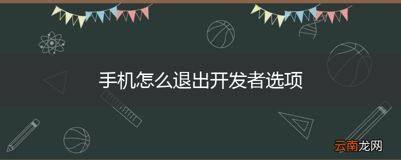 手机怎么退出开发者选项