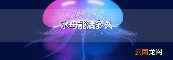 水母能活多久