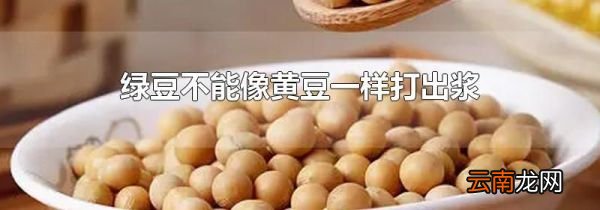 绿豆不能像黄豆一样打出浆