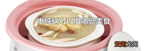 电炖锅可以做哪些美食
