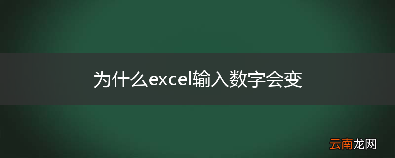 为什么excel输入数字会变