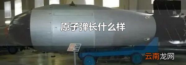 原子弹长什么样