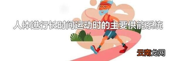人体进行长时间运动时的主要供能系统