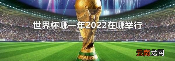 世界杯哪一年2022在哪举行