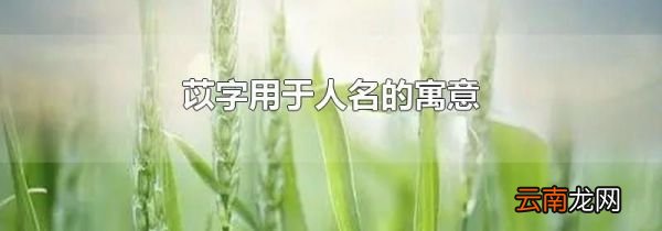 苡字用于人名的寓意