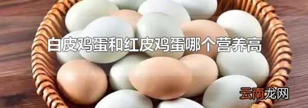 白皮鸡蛋和红皮鸡蛋哪个营养高