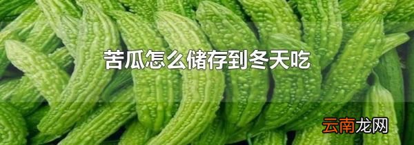 苦瓜怎么储存到冬天吃