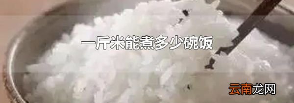 一斤米能煮多少碗饭
