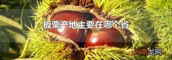板栗产地主要在哪个省