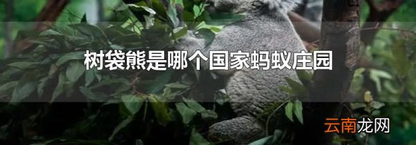树袋熊是哪个国家蚂蚁庄园