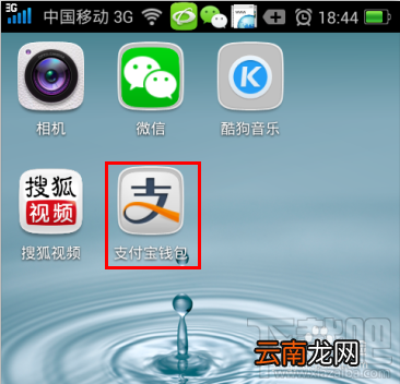 怎么用支付宝钱包在线申请中信银行信用卡