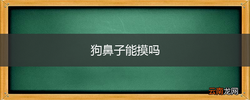 狗鼻子能摸吗