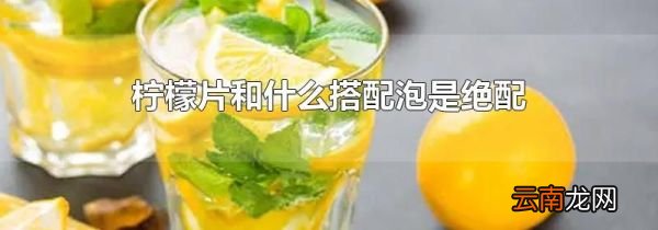 柠檬片和什么搭配泡是绝配