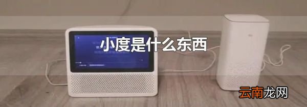 小度是什么东西