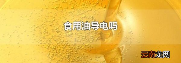 食用油导电吗