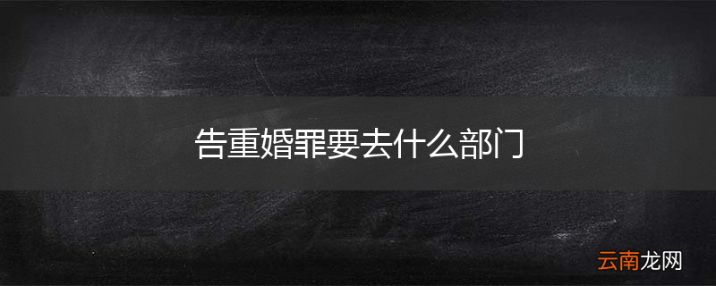 告重婚罪要去什么部门